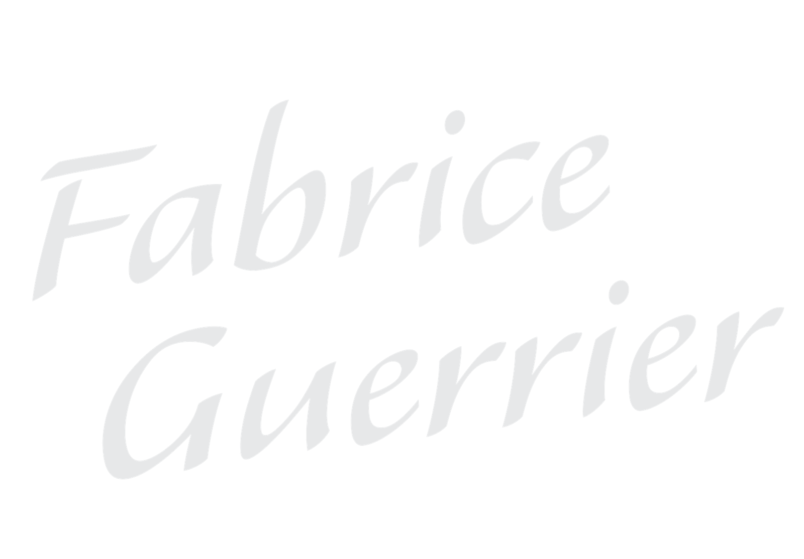 fabriceguerrier.com
